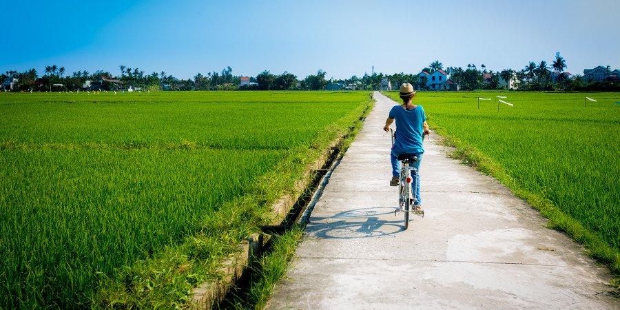 Hoi An:tra i campi di riso in bici