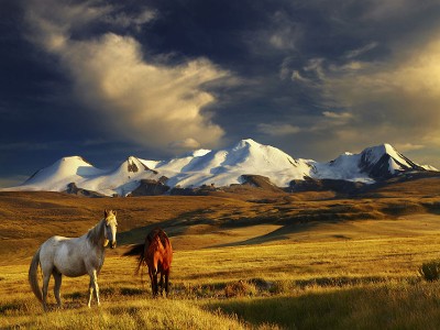 Mongolia, i cavalli del vento